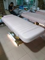 Table de lit de beauté de Massage réglable électrique professionnel chaise de beauté inclinable canapé de cosmétologie
