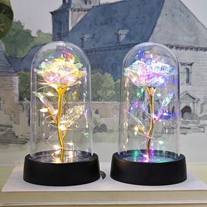 Fleur artificielle <span class=keywords><strong>en</strong></span> <span class=keywords><strong>verre</strong></span> avec <span class=keywords><strong>rose</strong></span> éternelle <span class=keywords><strong>et</strong></span> lumière LED pour femmes, <span class=keywords><strong>rose</strong></span> de <span class=keywords><strong>la</strong></span> <span class=keywords><strong>Belle</strong></span> <span class=keywords><strong>et</strong></span> <span class=keywords><strong>la</strong></span> Bête, cadeaux d'anniversaire pour filles, Noël - Product Image 5
