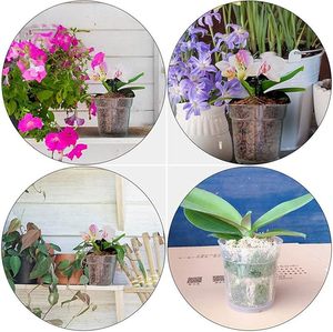 <span class=keywords><strong>Vasi</strong></span> <span class=keywords><strong>per</strong></span> <span class=keywords><strong>Orchidee</strong></span> in Plastica Trasparente all'Ingrosso con Fori, <span class=keywords><strong>Vasi</strong></span> da Vivaio <span class=keywords><strong>per</strong></span> <span class=keywords><strong>Rinvaso</strong></span> di <span class=keywords><strong>Orchidee</strong></span> - Product Image 3