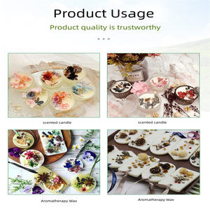 สะเก็ดขี้ผึ้งจากถั่วเหลืองออร์แกนิกจากธรรมชาติ100% 464กรัมสำหรับเทียนหอมระเหยใช้ในวันหยุด - Product Image 3