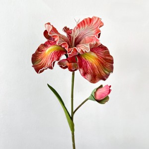 Fleur artificielle <span class=keywords><strong>Iris</strong></span> Alice à double tête, tige courte de 45 cm, en EVA, toucher naturel, couleur peinture à l'huile, pour décoration intérieure - Product Image 6
