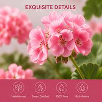 Huile Essentielle de Géranium 100% Pure, Naturelle et Biologique, Qualité Thérapeutique, Aromathérapie, Huiles Essentielles de Pelargonium Graveolens en Gros