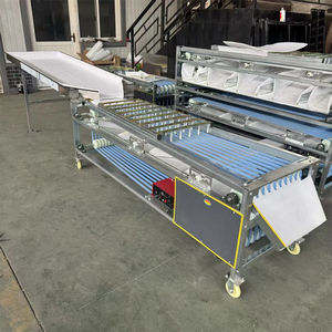 Máquina Automática de Clasificación de Frutas por Tamaño, para Tomate Cherry, Naranja y Kumquat - Product Image 6