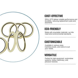 Kit di Riparazione Olio per Martello Idraulico ad Alta Efficienza <span class=keywords><strong>Furukawa</strong></span> F19 F22 <span class=keywords><strong>F27</strong></span> F35 per Escavatori - Product Image 2