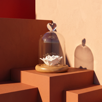 Diffuseur d'huiles essentielles parfumées en verre avec base en bois, inhalateur de fleurs, testeur, pour expositions, avec pompe à marquage à chaud