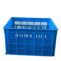 Molde de Inyección de Plástico de Alta Calidad y Bajo Costo para Cestas y Cajas de Frutas para el Hogar, Venta al por Mayor