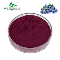 Poudre de fruit de myrtille de saveur d'aliment de santé organique poudre de jus de myrtille poudre de myrtille
