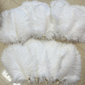 Plumes d'autruche blanches de haute qualité, grandes, de 24 à 26 pouces, pour la décoration de centres de table de carnaval, de festivals, de fêtes et de mariages (vente en gros) - Product Image 6