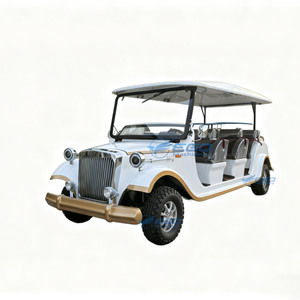 Venta Directa de Fábrica Nuevo Modelo Auto Eléctrico Retro Clásico de Lujo/Transporte Especial/Precio con Descuento - Product Image 1