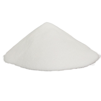 1KG DTF Adhésif Poudre DTF Colle pour Impression par Transfert de Chaleur