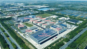 MT1619 100% Camiseta de algodón <span class=keywords><strong>Ropa</strong></span> de <span class=keywords><strong>hombre</strong></span> Fabricantes <span class=keywords><strong>Ropa</strong></span> de <span class=keywords><strong>ropa</strong></span> de calle personalizada Camisetas de <span class=keywords><strong>hombre</strong></span> Camisetas de gran tamaño lisas - Product Image 5