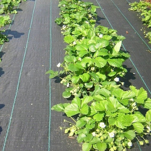 Toile de paillage <span class=keywords><strong>anti</strong></span>-mauvaises herbes pour jardin biologique, barrière de protection résistante pour l'élimination des herbes, couverture de contrôle au sol pour aménagement paysager - Product Image 2