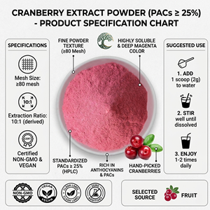 Polvere di Succo di Mirtillo Rosso Naturale OEM con Etichetta Privata, Solubile in Acqua, Polvere di Mirtillo Rosso Istantanea, Vendita all'Ingrosso, 100% Pura - Product Image 4