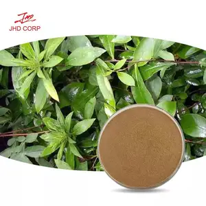 Factory direct supply reliable quality natural senna leaf extract 20% sennosides