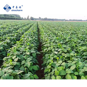 Sinocharm iqf edamame đậu nành đông lạnh đậu hạt nhân OEM thương hiệu Nhà máy 500g đậu edamame đông lạnh để bán - Product Image 6