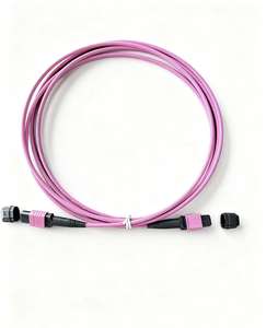 Cavalier de fibre optique de cluster MPO/MTP/LC/FC 40G/100G 12/16/24/48-Core OM3/OM4 50 Gb/s ligne de connexion multimode 200G/400G - Product Image 2