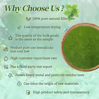 Poudre de Matcha Pur en Gros, Grade Cérémonial, Thé Vert Matcha en Vrac