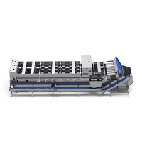 Onafhankelijk ontwikkelde datumdefectselectiemachine met high-definition camera-inspectie, 304 roestvrij staal, capaciteit 3-5t/u