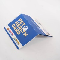 Passeport pour animaux de compagnie avec logo personnalisé en feuille d'or, certificat pour chien et chat, brochure en papier avec impression offset et reliure agrafée