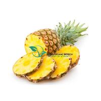 Poudre de bromélaïne de qualité alimentaire 100 000 UI/g, extrait d'ananas, enzyme CAS 9001-00-7, matière première enzymatique digestive avec COA et FDS