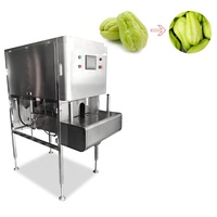 Food Grade Dunschiller Voor Peer: Mango-En Wortelhuidverwijderaar Voor Efficiënte Vegetarische Verwerking