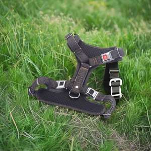 หัวเข็มขัดสีทองสำหรับสัตว์เลี้ยงเครื่องประดับที่หรูหราและปลอดภัย - Product Image 3