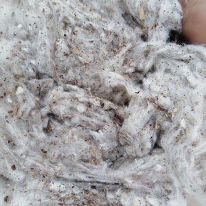 Déchets textiles 100% coton de haute qualité Grade a et B Lickerin Card Fly Flat Strip à prix compétitif - Product Image 1