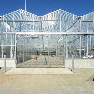 Fournitures d'usine Kit de culture hydroponique <span class=keywords><strong>jardin</strong></span> agricole écologique utilisé éponge hydroponique de plante de graine - Product Image 5