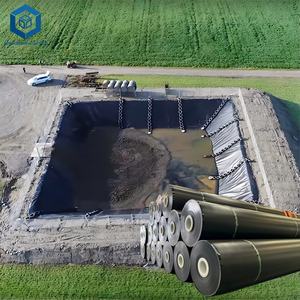 प्रीमियम गुणवत्ता वाले एचडीपे तालाब लाइनर खनन रासायनिक भंडारण तालाबों के लिए जियोम्ब्रन आपूर्तिकर्ताओं का उपयोग करता है - Product Image 2