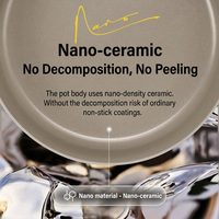 Poêle à frire en céramique antiadhésive en alliage d'aluminium de 24 cm, sans PFOA ni PFOS, non toxique, nano-céramique, ustensile de cuisine, induction, gaz, 2 L