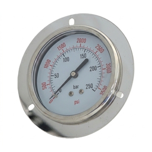 Y75ZT Fabriqué en Chine, jauge en acier inoxydable 304SS bon marché de 3 pouces avec raccordement arrière - Product Image 1
