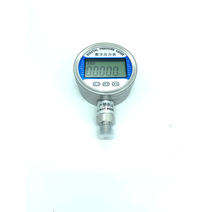 5桁LCD 0.05%FSグレード高精度デジタル表示圧力計 - Product Image 4
