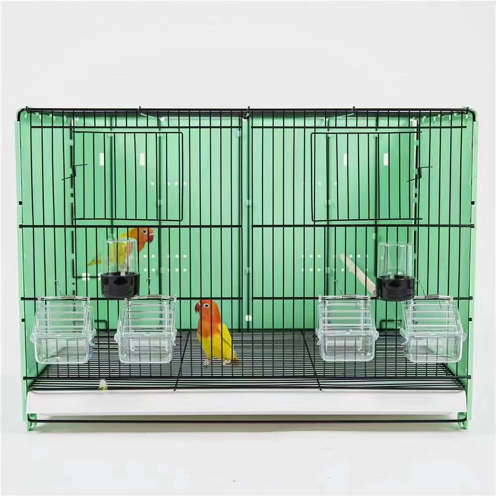 How to Choose the Best Double Flight Cage: A Complete Buying Guide