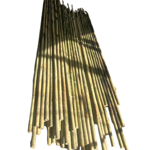 ไม้เท้าไม้ไผ่เป็นมิตรกับสิ่งแวดล้อมสำหรับการจัดการพื้นที่การเกษตร - Product Image 5