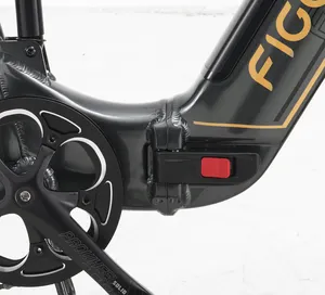 FIGOO-Bicicleta eléctrica híbrida de alta calidad, bici de montaña plegable de 20 pulgadas, 48v, 14ah, 500w, 800W