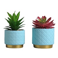 Planteur de Pot de fleurs en céramique, en forme de chat mignon, décoration de jardin, animaux mignons, Support moderne, Kits de Pot japonais non revêtu