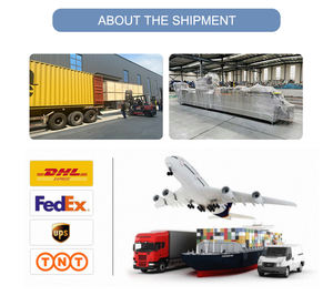 เครื่องบรรจุสุญญากาศแบบอัตโนมัติสายพานลำเลียงแบบต่อเนื่องแบบสายพานลำเลียงแบบปิดผนึกเดี่ยว/คู่ปลาแซลมอนรมควัน<span class=keywords><strong>กุ้ง</strong></span>ประสิทธิภาพสูง - Product Image 4