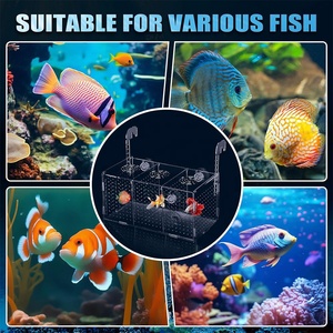 Caja de Cría de Peces, Caja de Aislamiento de Peces de Acrílico, Separador de Peces para Acuario, <span class=keywords><strong>Incubadora</strong></span> de Acuario con Ventosas para Peces <span class=keywords><strong>Bebés</strong></span> - Product Image 6