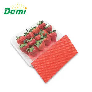 Supermarket High Quality Absorbent Meat Pad For Sea Food Meat Absorbability Padded Forred Meating