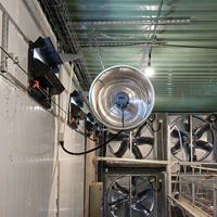 Ventilateur de circulation suspendu D550 à entraînement direct, à fréquence variable, en fibre de verre, résistant à la corrosion, pour élevage