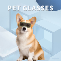Lunettes de protection pour chiens de petite race avec protection UV pour les activités de plein air, le cyclisme, les sports et l'usage quotidien, pour l'équitation et la conduite