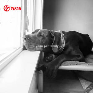 Single Simple Design Wasserdichtes, mittel kau festes Hunde bett Aluminium-Innen-Hunde bett ohne Rost und am langlebigsten - Product Image 5