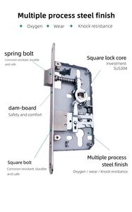Meilleur vendeur en Russie Ensemble de serrures de poignée de porte de sécurité extérieure-Design anti-levier - Product Image 6