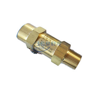 Soupape de sécurité filetée Um12la022s 300 bars pour évaporateur d'unité de réfrigération DN20 - Product Image 1