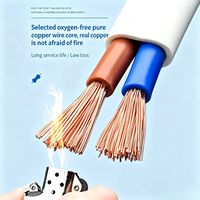 Doppelschichtig PVC-isoliertes Flachmantelkabel mit Kupferkern RVVB-2*4/6 mm²; Verlustarm; für Gebäudeverkabelung