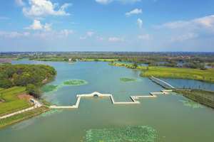 工業用グレード99% 白結晶粉末Edta 4Na-テトラナトリウム有機塩 - Product Image 6