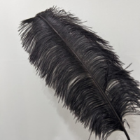 Plumes d'autruche noires à plumes complètes de 10 à 30 pouces, motif teint multicolore, pour décoration de carnaval, mariage, scène, costume