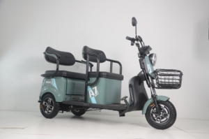 Tricycle à moteur 800W 48V, scooter à <span class=keywords><strong>3</strong></span> <span class=keywords><strong>roues</strong></span>, scooter de mobilité, scooter de mobilité <span class=keywords><strong>2</strong></span> <span class=keywords><strong>places</strong></span>, scooters de mobilité à <span class=keywords><strong>3</strong></span> <span class=keywords><strong>roues</strong></span>, tricycle - Product Image 6