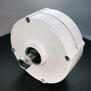 Envío Gratuito a la UE: Alternadores de CA Magnéticos Trifásicos sin Engranajes de 100W 12/24V para Energía Eólica y Otros Generadores Magnéticos de 100W - Product Image 5