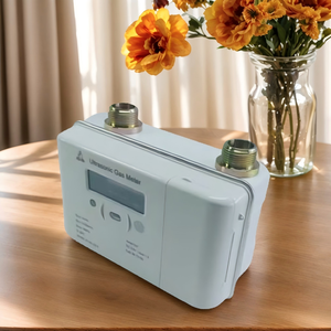 เครื่องวัดก๊าซอัลตราโซนิก ZHONGYI G2.5 ระบบ IoT อ่านค่าระยะไกล ติดผนัง พร้อมวาล์ว รองรับการชำระเงินแบบเติมเงินและแบบเต็มคืนค่า ระบบ AMR ความแม่นยำสูง - Product Image 1